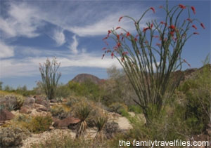 Coachella Valley