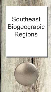 SE Biogeographic Regions
