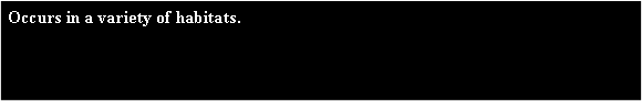 Text Box: Occurs in a variety of habitats. 