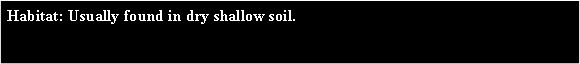 Text Box: Habitat: Usually found in dry shallow soil. 