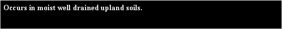 Text Box: Occurs in moist well drained upland soils. 