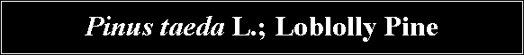 Text Box: Pinus taeda L.; Loblolly Pine