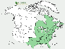 U.S. distribution of Acer rubrum
