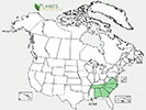 U.S. distribution of Aesculus sylvatica