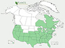 U.S. distribution of Ailanthus altissima