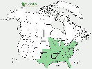 U.S. distribution of Betula nigra