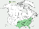 U.S. distribution of Broussonetia papyrifera