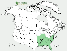 U.S. distribution of Carya pallida