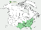 U.S. distribution of Castanea pumila