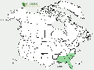 U.S. distribution of Gordonia lasianthus