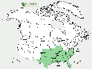 U.S. distribution of Ilex decidua
