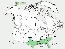 U.S. distribution of Ilex myrtifolia