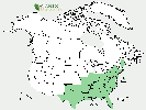 U.S. distribution of Ilex opaca