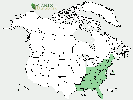 U.S. distribution of Kalmia latifolia