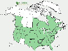 U.S. distribution of Populus alba