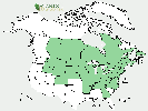 U.S. distribution of Populus xjackii