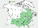 U.S. distribution of Ptelea trifoliata