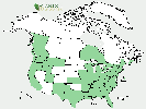 U.S. distribution of Pyrus communis