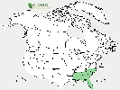 U.S. distribution of Quercus austrina