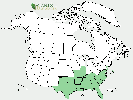 U.S. distribution of Quercus nigra