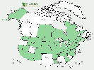 U.S. distribution of Salix alba