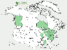 U.S. distribution of Salix caprea