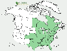 U.S. distribution of Salix nigra