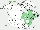 U.S. distribution of Sorbus americana