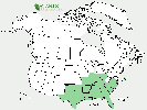 U.S. distribution of Styrax americanus