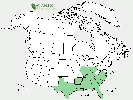 U.S. distribution of Styrax grandifolius