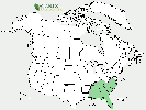 U.S. distribution of Stewartia ovata