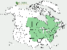 U.S. distribution of Tilia americana var. americana