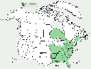 U.S. distribution of Tilia americana var. heterophylla