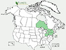 U.S. distribution of Acer palmatum