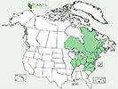U.S. distribution of Betula populifolia
