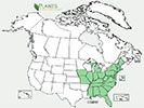 U.S. distribution of Cornus amomum