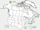 U.S. distribution of Pinus pinaster