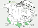 U.S. distribution of Pistacia chinensis