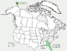 U.S. distribution of Torreya taxifolia